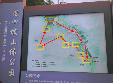 九阴真经梅花岭怎么去[图1]