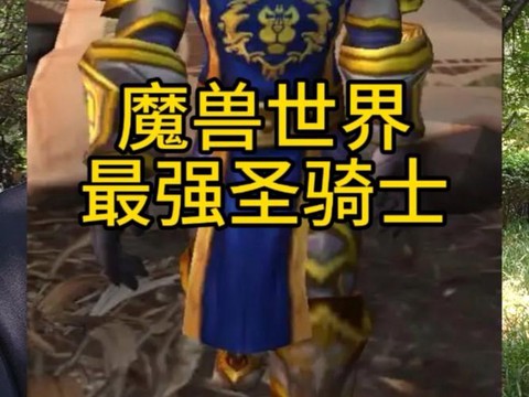 魔兽世界圣骑士怎么样[图1]