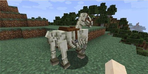 我的世界骷髅马怎么驯服