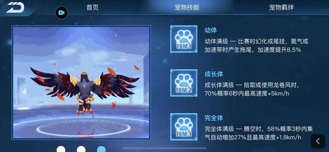 qq飞车买什么宠物好