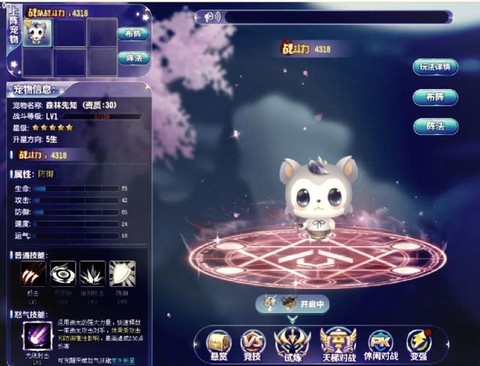 qq飞车买什么宠物好[图2]