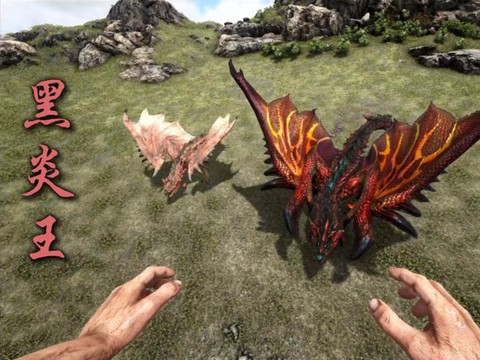 怪物猎人x黑炎王怎么打[图2]