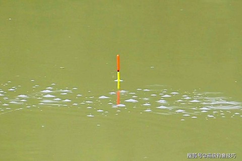 qq炫舞鱼饵怎么得