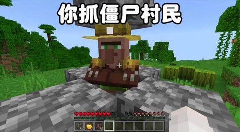 我的世界怎么抓村民