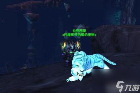 魔兽世界6.0什么猎人