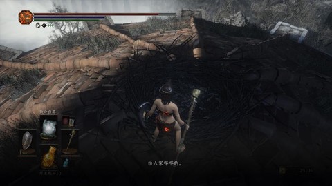 黑暗之魂3鸟巢如何[图2]