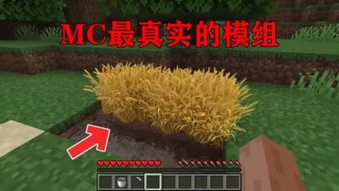 我的世界小麦有什么用