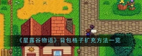 星露谷物语背包怎么[图2]