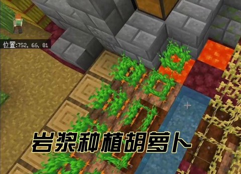 我的世界胡萝卜怎么种[图2]