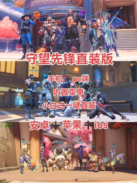 手机上怎么看守望先锋[图2]