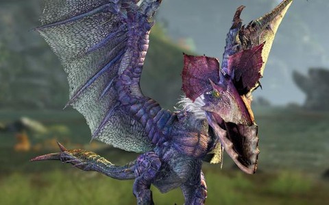 怪物猎人黑狼鸟怎么打[图1]